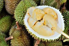 durian