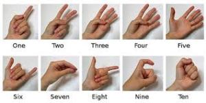 hand signals for dice